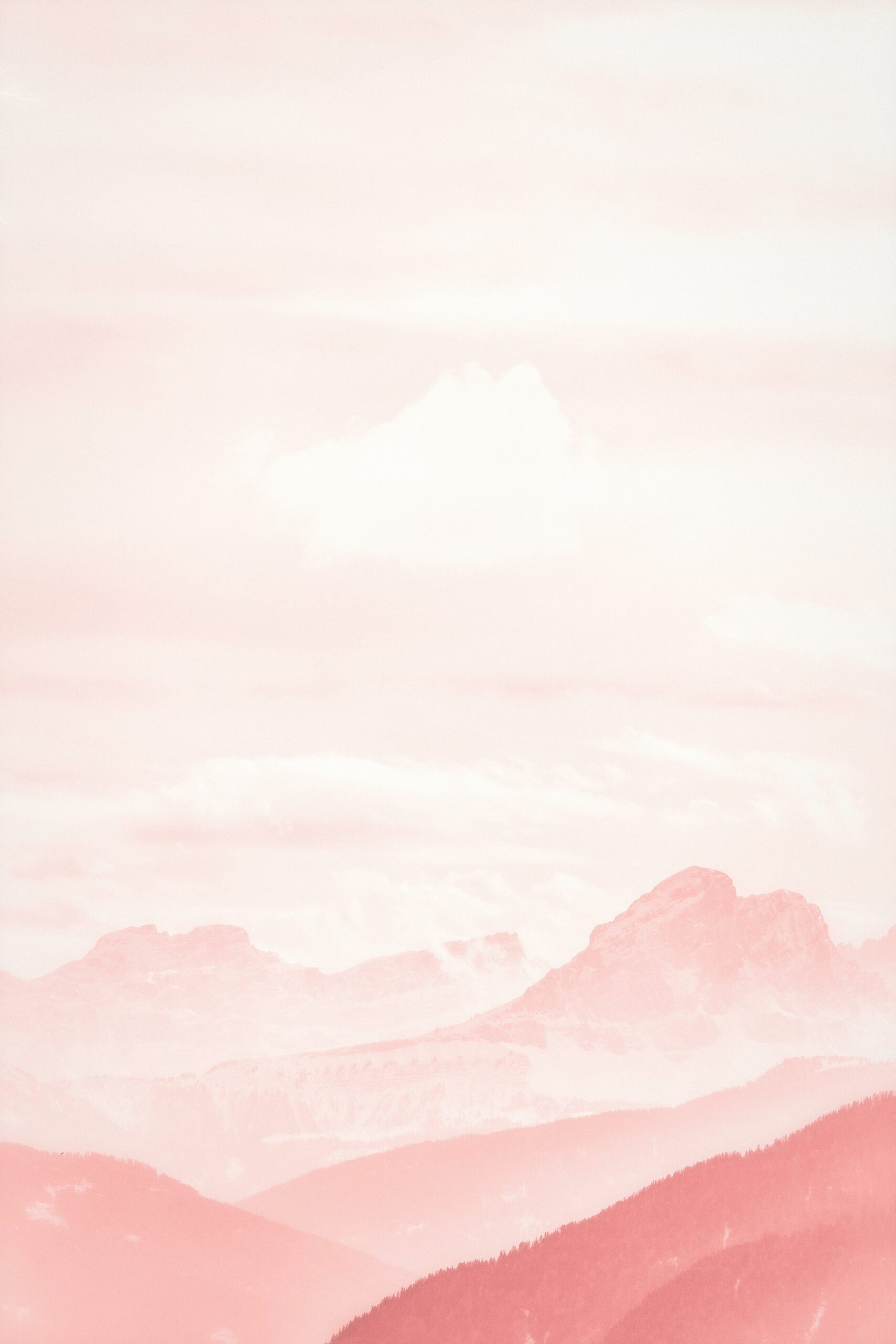 pexels-eberhardgross-2088170